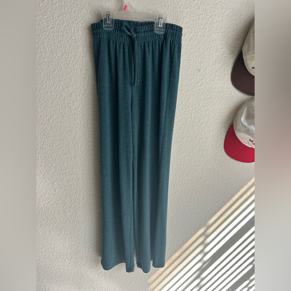 Aritzia pants